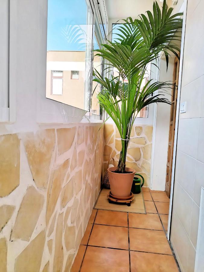 Apartmán Apartamento Vida Mediterranea Puerto de la Cruz  Exteriér fotografie
